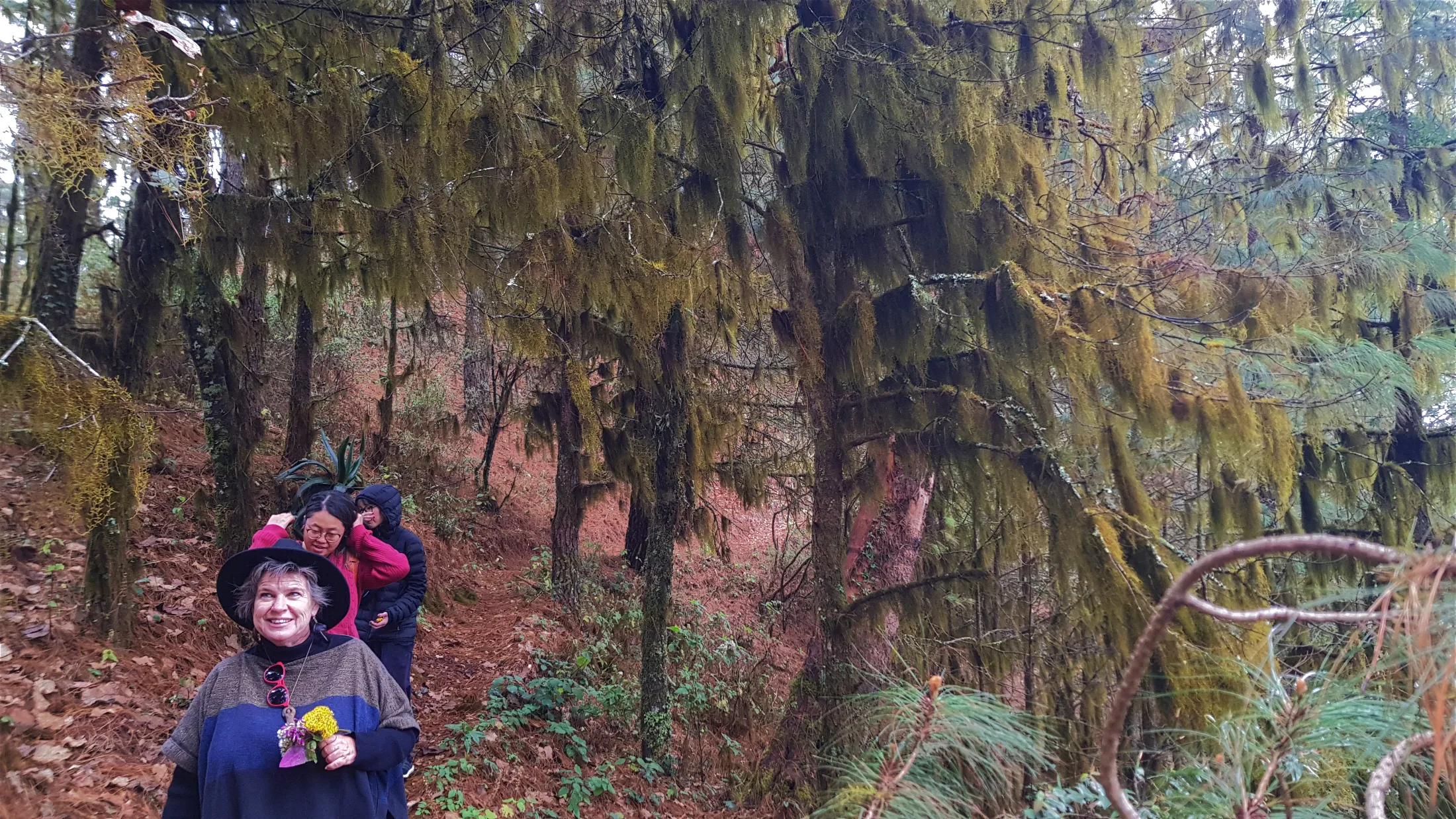 Claudia enjoying the hanging moss hiking la Cumbre/Santa Catarina Ixtepeji-2