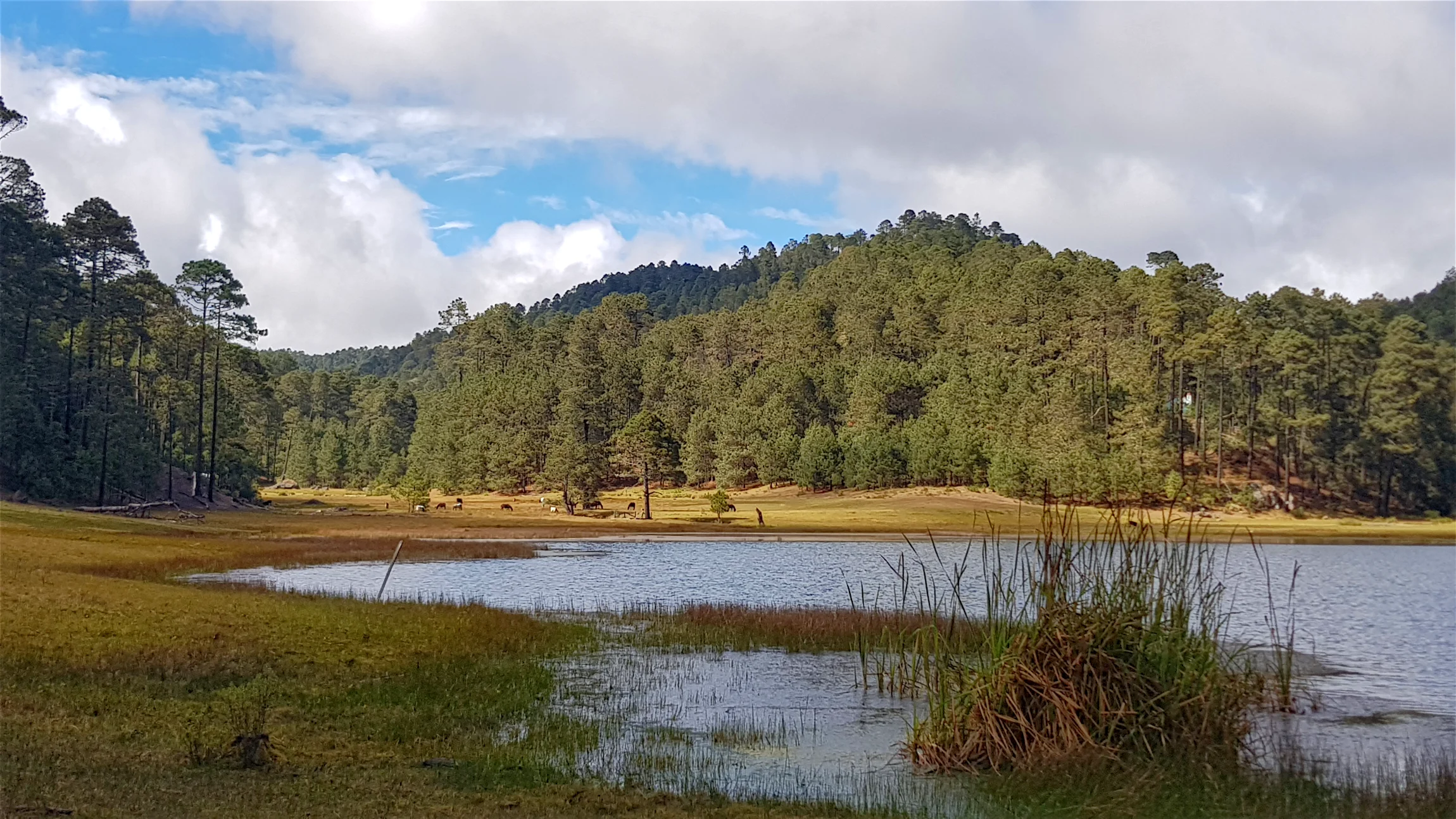 La Neveria Lake on the Cueva de la Iglesia trail crossing the forests of Dain Roó, the community-managed ecotourism park of San Miguel del Valle