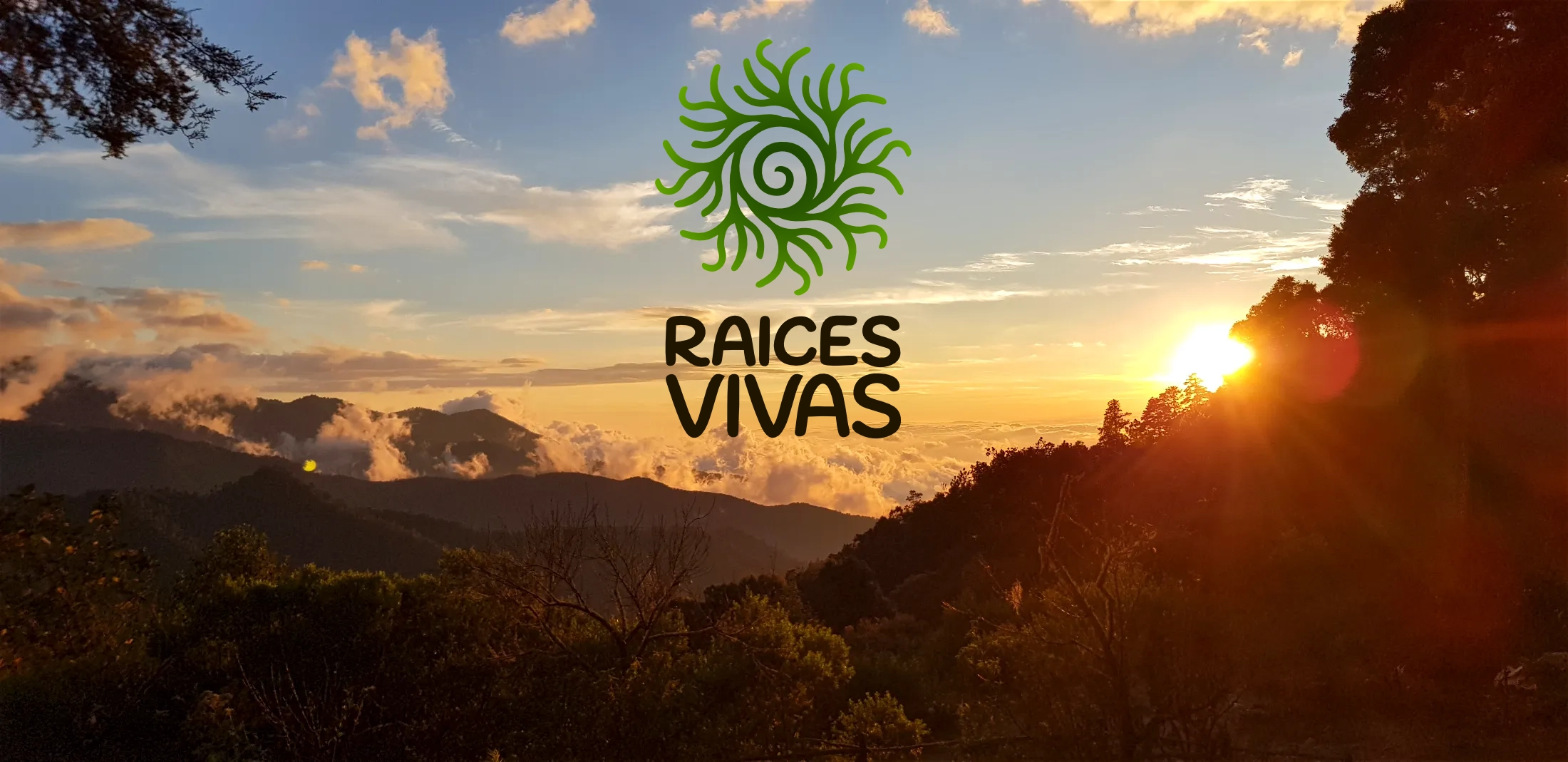 Raices Vivas Logo