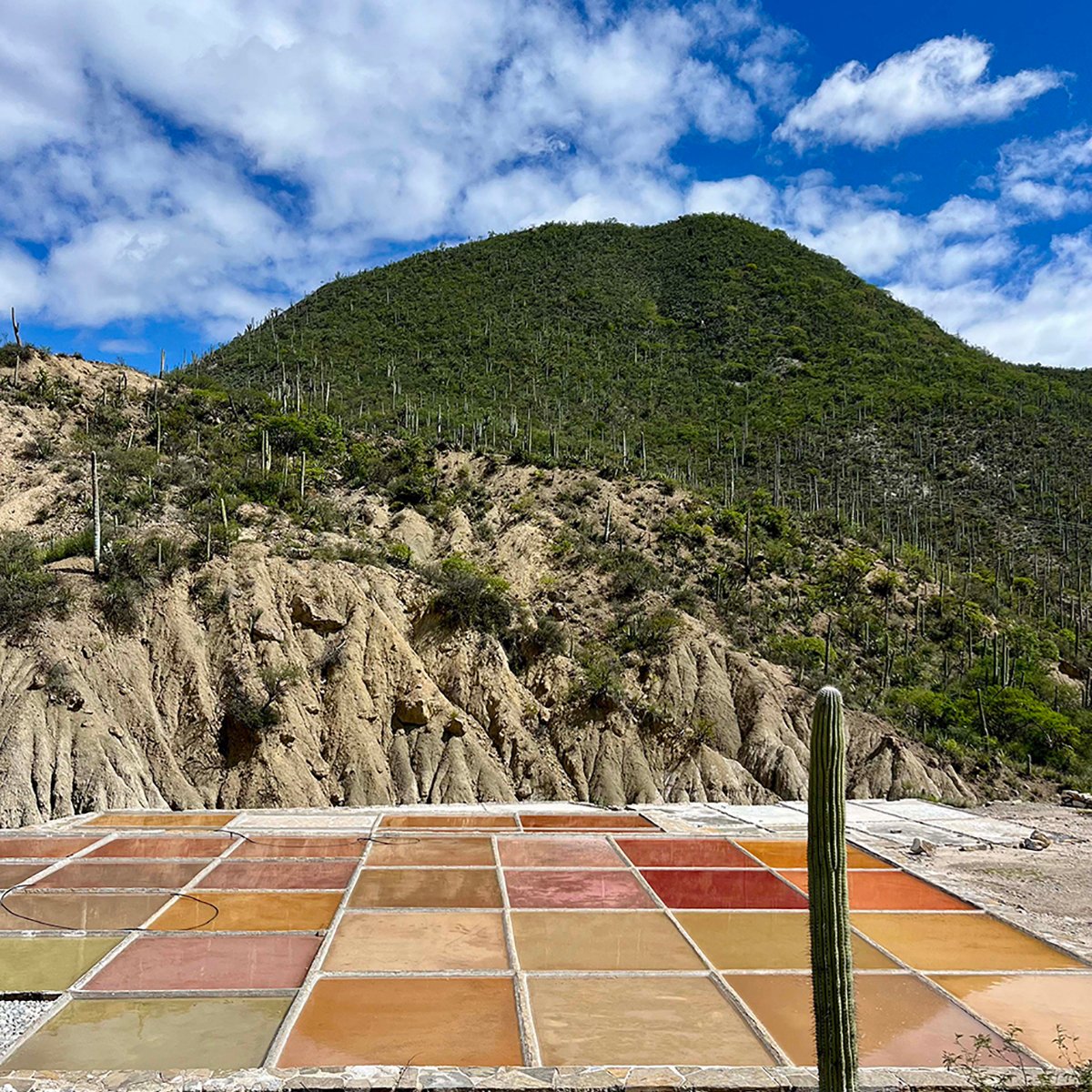 The Salt Pans in Zapotitlan de las Salinas