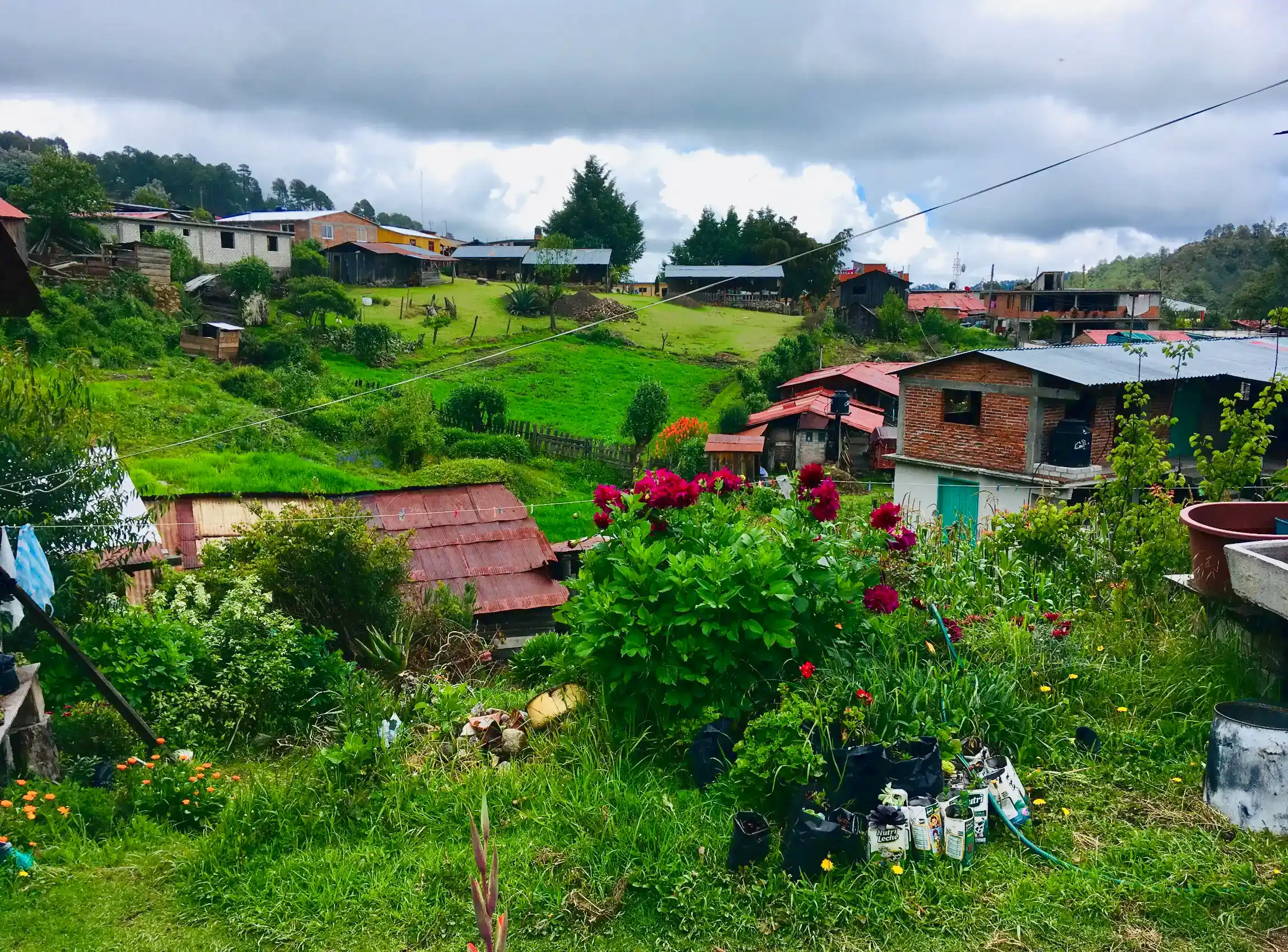 Village view of San Antonio Cuajimoloyas in our Medicine Plant Walk by Tierra Sagrada
