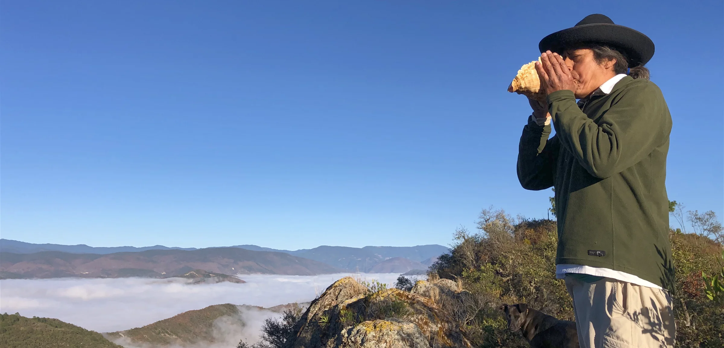 https://www.tierraventura.com/support Tierraventura ecoturismo & Tierra Sagrada