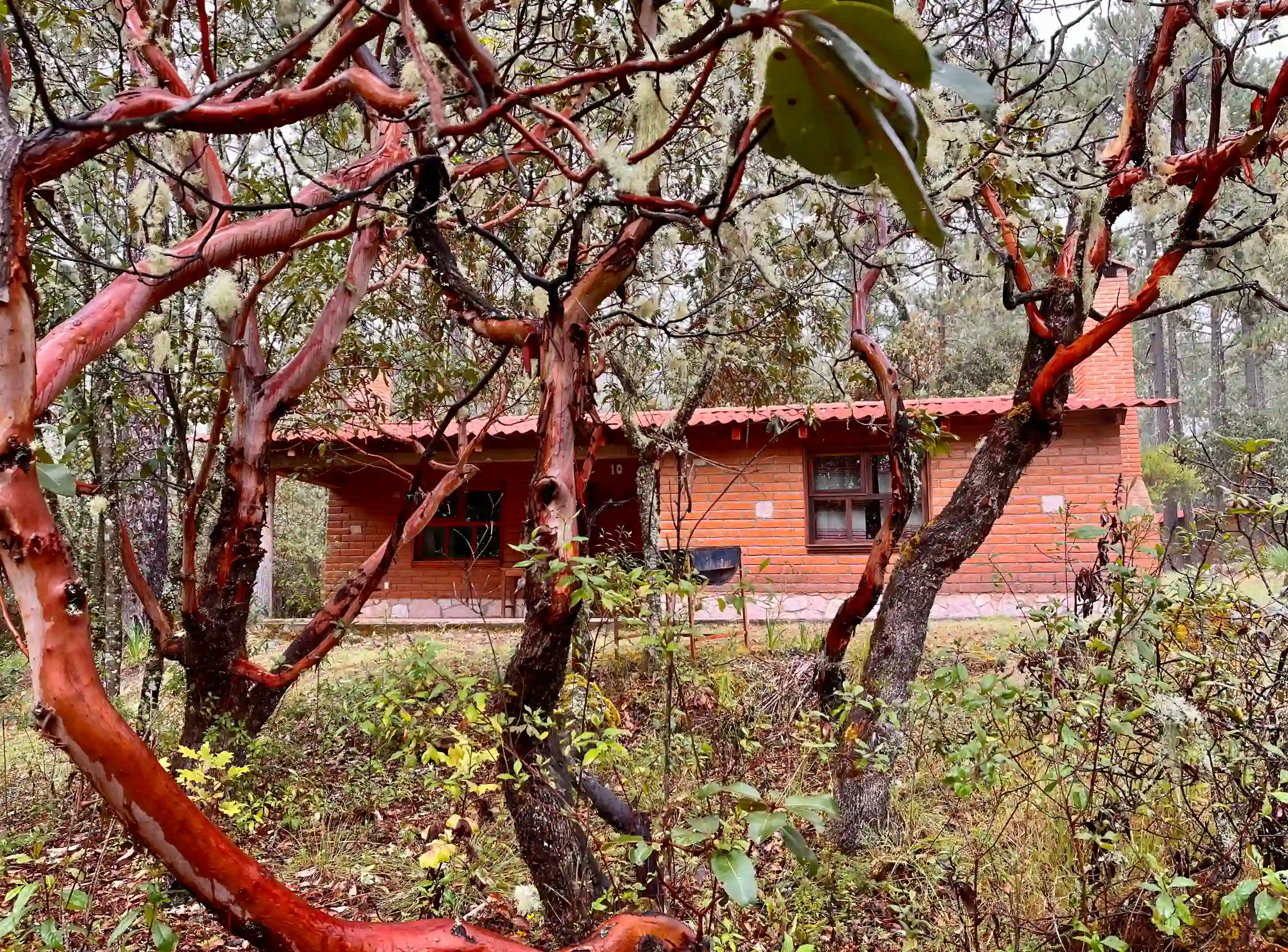 https://www.tierraventura.com/Cabañas from Llano Grande, Pueblos Mancomunados