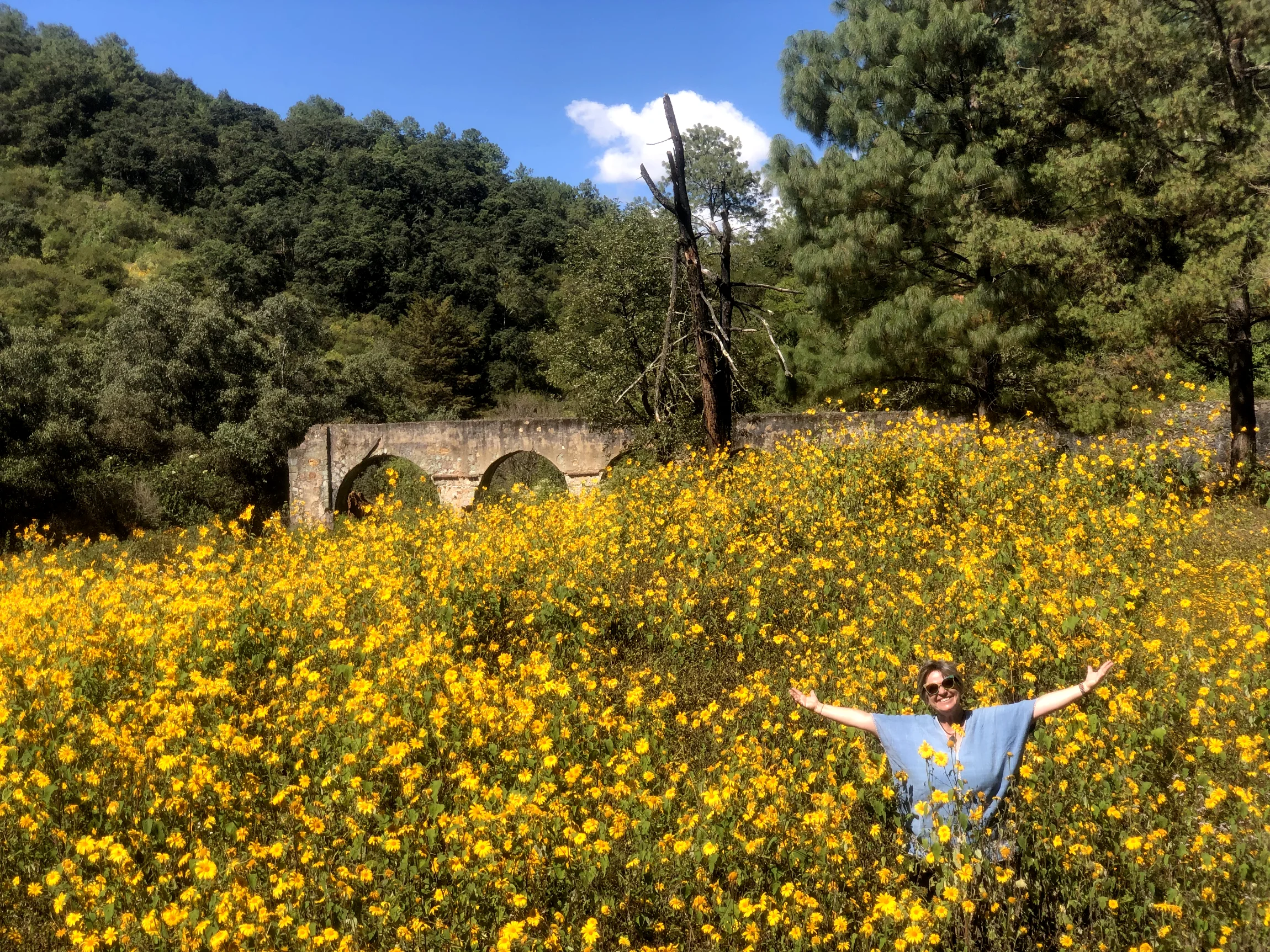https://www.tierraventura.com/Claudia at the Ex-hacienda 5 Señores/Pueblos Mancomunados