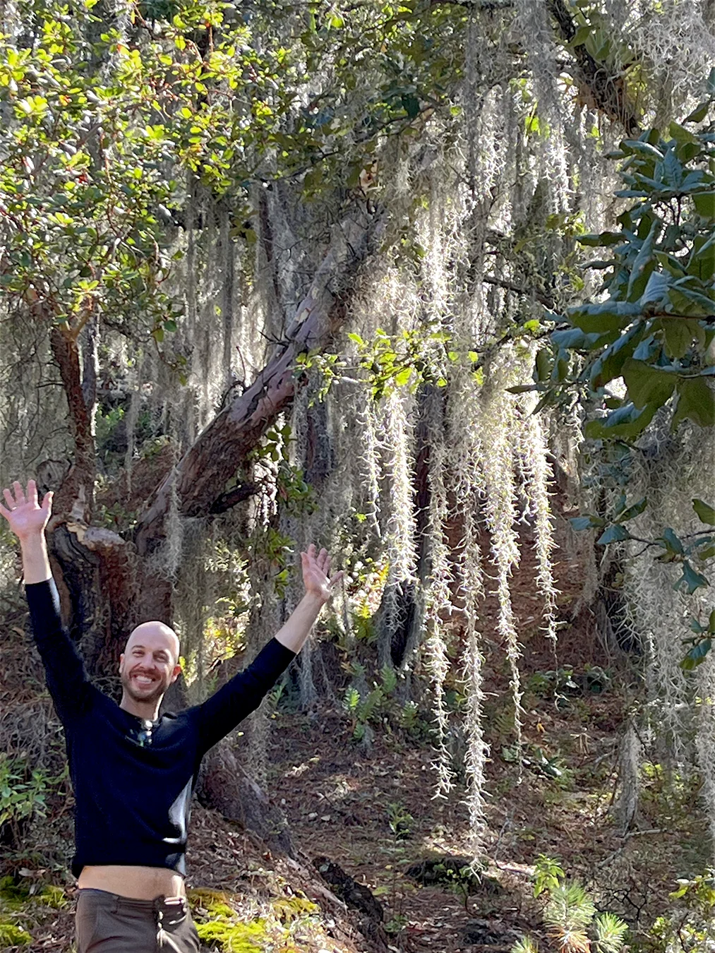 Enjoying the awesome hanging moss landscape to Santa Catarina Lachatao/Pueblos Mancomunados
