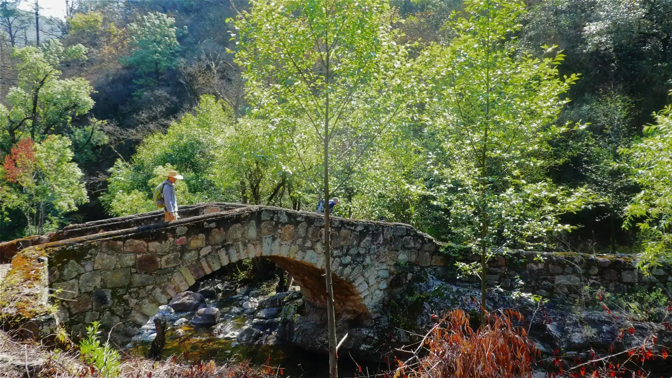 Historic bridge by the hacienda Cinco Señores/Pueblos Mancomunados
