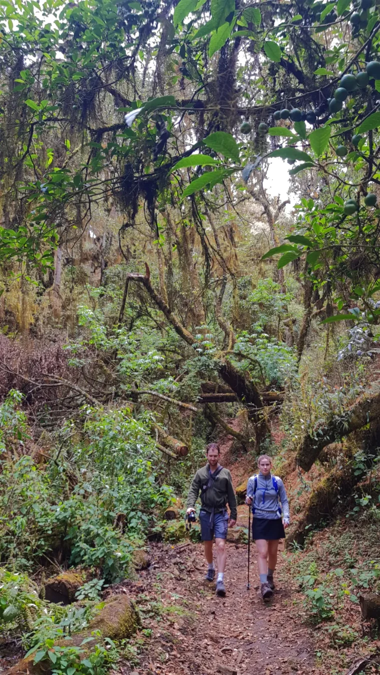 https://www.tierraventura.com/Lush valley of the hike la Cumbre/Santa Catarina Ixtepeji
