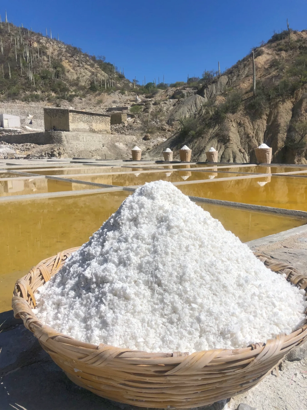 https://www.tierraventura.com/Salt production in Zapotitlan de las Salinas