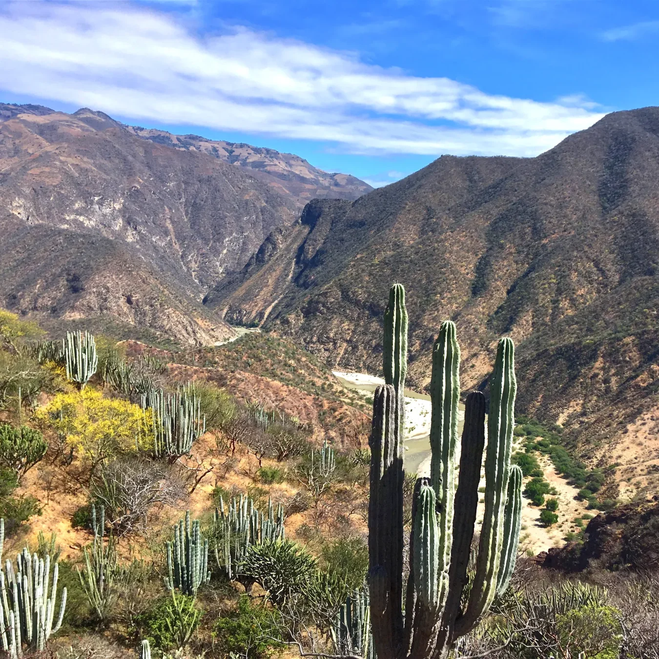 https://www.tierraventura.com/View of the Rio Grande Valley from The Cerro Viejo by Santiago Quiotepec